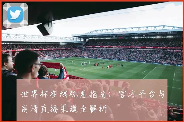 世界杯在线观看指南:官方平台与高清直播渠道全解析