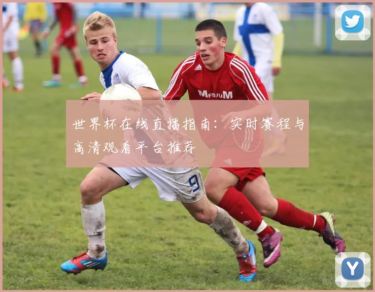 世界杯在线直播指南：实时赛程与高清观看平台推荐