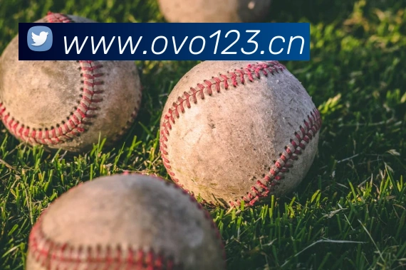 乐鱼官网app登录入口服务体系